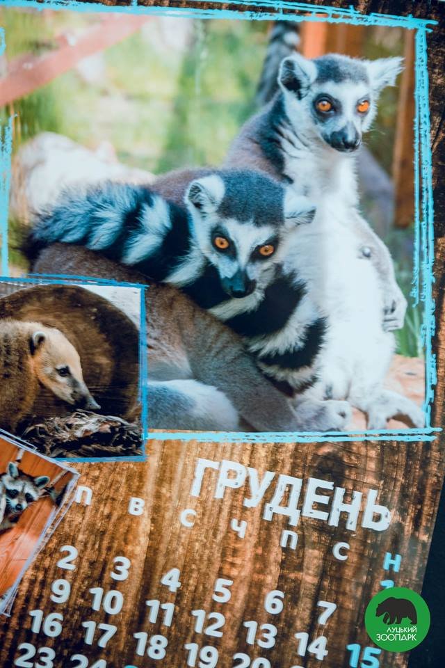 Зубаті і хвостаті: випустили календар з мешканцями луцького зоопарку. ФОТО