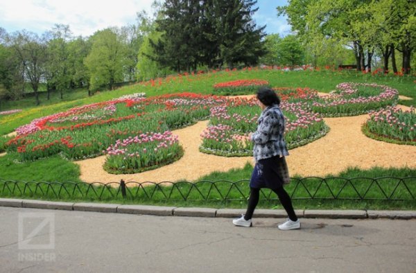 У Києві - сотні тисяч тюльпанів. ФОТО