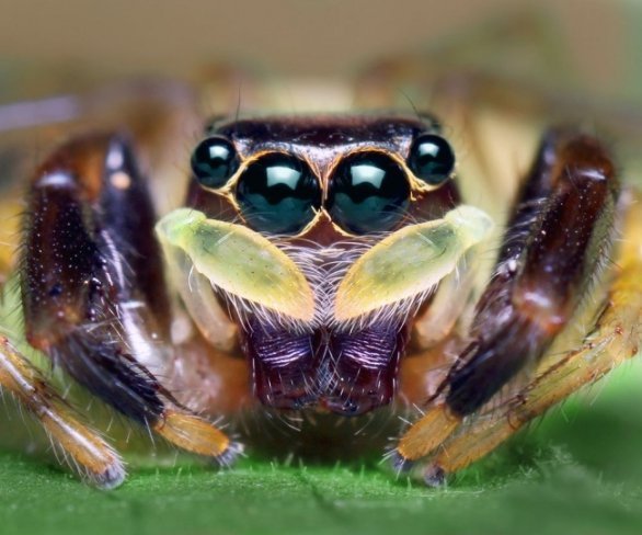 Обід, В'єтнам © Вацлав Хікс 