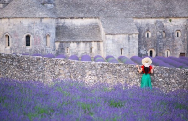 Лаванда, Франція © Джонатан Чжан 