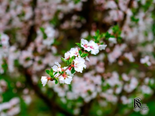 Фотовиставка Сергія Руденка