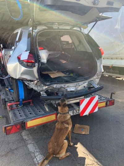 На волинському пункті пропуску службовий пес знайшов у авто боєприпаси