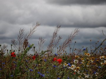 Неймовірні краєвиди природи на знімках волинської волонтерки