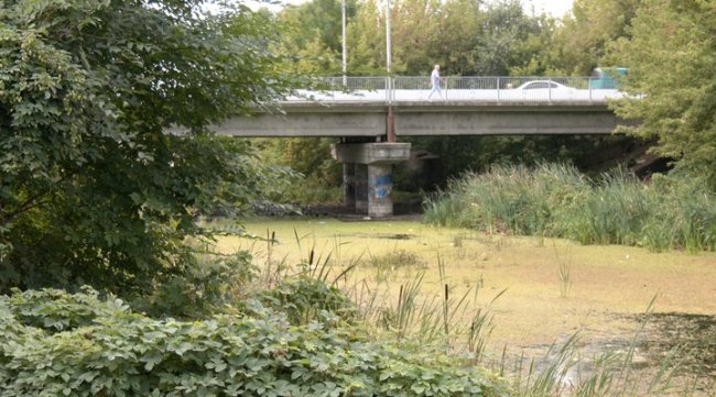 На Волині пересихають криниці та водойми: куди зникає вода. ВІДЕО