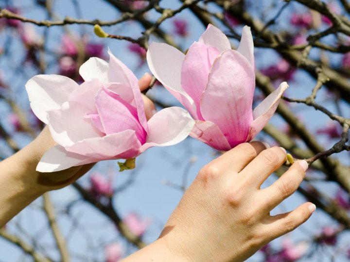 Якою буде погода у Луцьку та на Волині 5 квітня