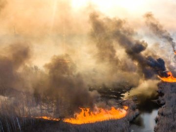 У Чорнобильській зоні – екопожежі