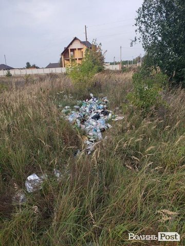 «Може, це Порошенко насмітив?»: поблизу ковельського ставка – стихійне сміттєзвалище. ФОТО