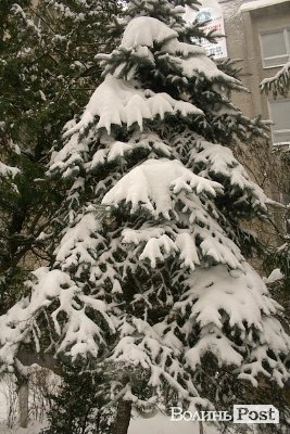 Луцьк засипає снігом. ФОТО