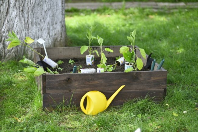 Як у луцькому зоопарку особливі дітки город садили. ФОТО