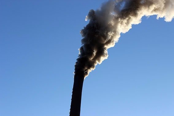 На Волині знищили наркотиків на 150 тисяч гривень