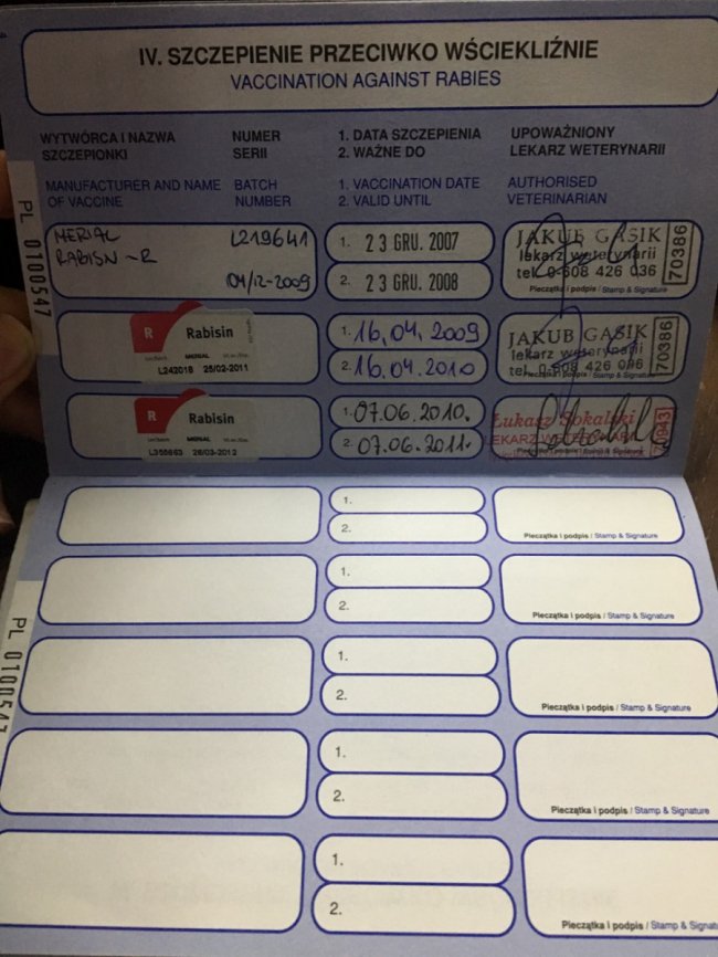 Волинянка звинувачує свою сусідку в загибелі собаки