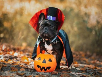 Погода у Луцьку на завтра, 31 жовтня