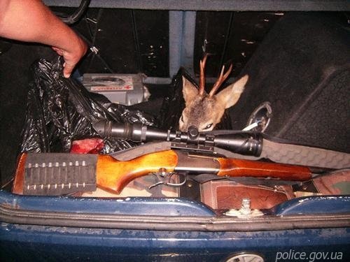 Убивць козулі допомагали ловити ДАІшники