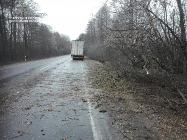 Повалений рекламний щит і побиті автівки: наслідки негоди у Луцьку. ФОТО