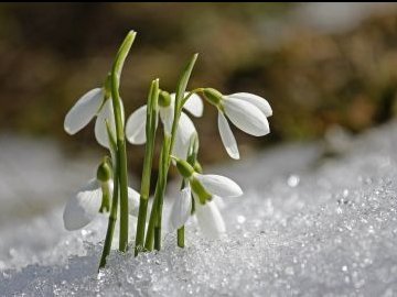 Погода у Луцьку на завтра, 4 березня