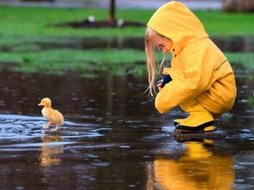 Спека і гроза: якою буде погода на Волині у понеділок, 20 липня 