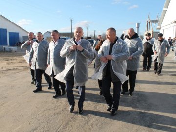 На Волині відкрили сучасний молочний комплекс. ФОТО