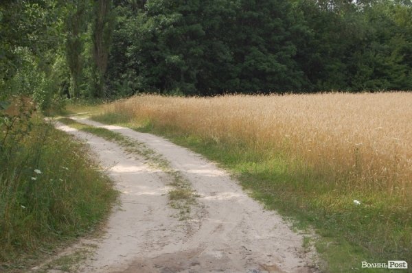 Відпочинок під Луцьком. Рокині. ФОТО