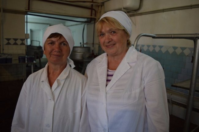 Рекордного збору чорниці на Волині не чекають