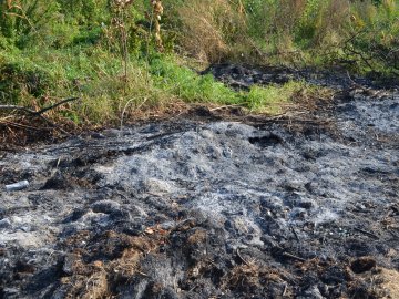 Дихати неможливо: лучани скаржаться на сміття та паліїв у центральному парку