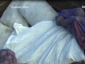 Громада під Луцьком зібрала городину для госпіталю ветеранів війни