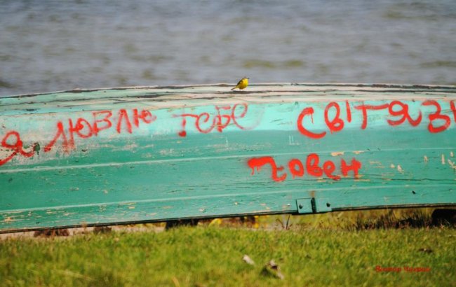 Краса і спокій: шацькі фотозамальовки