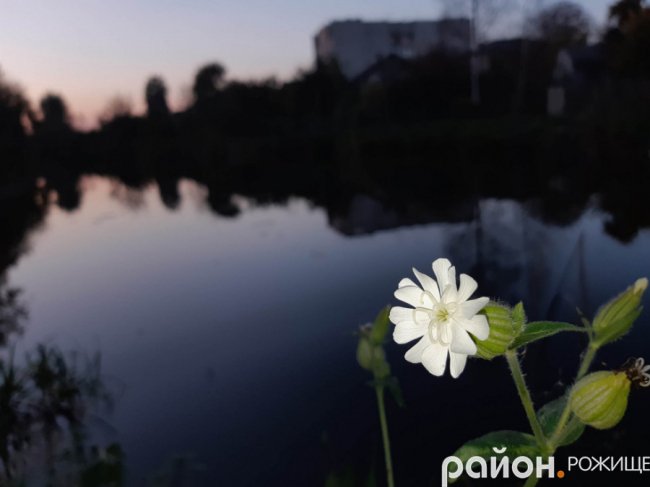 Місто на Волині восени: жовто-багряна краса. ФОТО