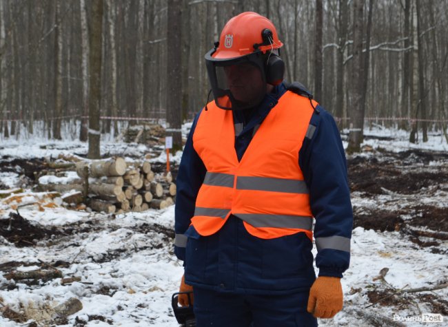 Жнива у зимовому лісі: як на Волині заготовляють деревину. ФОТО