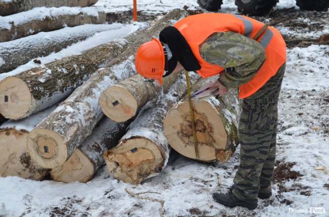 Маркування хлиста