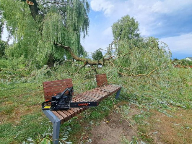 На Волині негода поламала дерева, пошкодила дахи, балкони, лінії електропередач