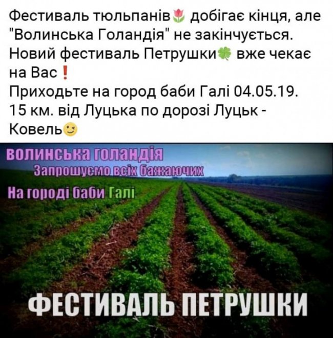 Жарти і меми про «Волинську Голландію»: підбірка із соцмереж 
