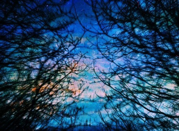 Фотовиставка Ольги Антонюк