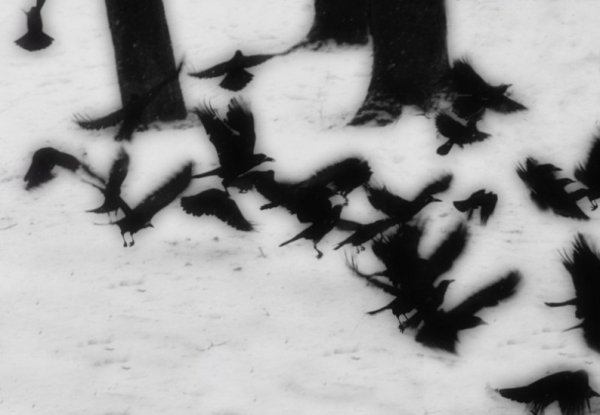 Фотовиставка Ольги Антонюк