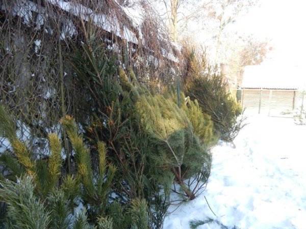 Зима в Луцькому зоопарку. ФОТО