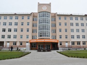 У Луцьку біля перинатального центру постійно крадуть самшит 