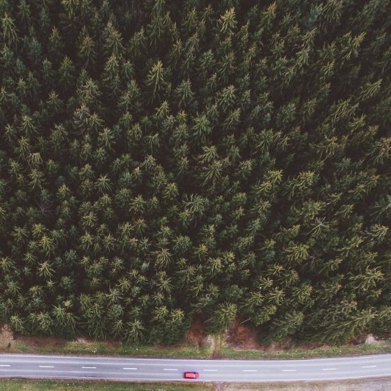 Німецький фотограф-початківець вразив мережу неймовірними пейзажами. ФОТО