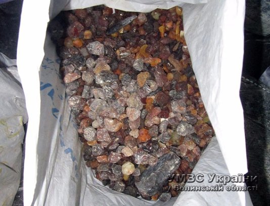 18-річний лучанин зберігав у гаражі бурштин та інструменти для його обробки. ФОТО