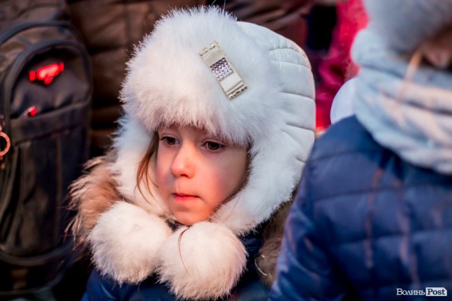 У Луцьку урочисто засвітили головну ялинку міста. ФОТО