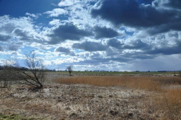 Автор - Іра Сафулько