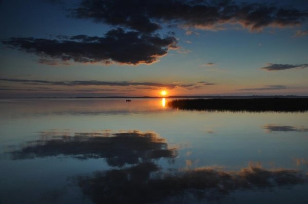 Автор - Іра Сафулько