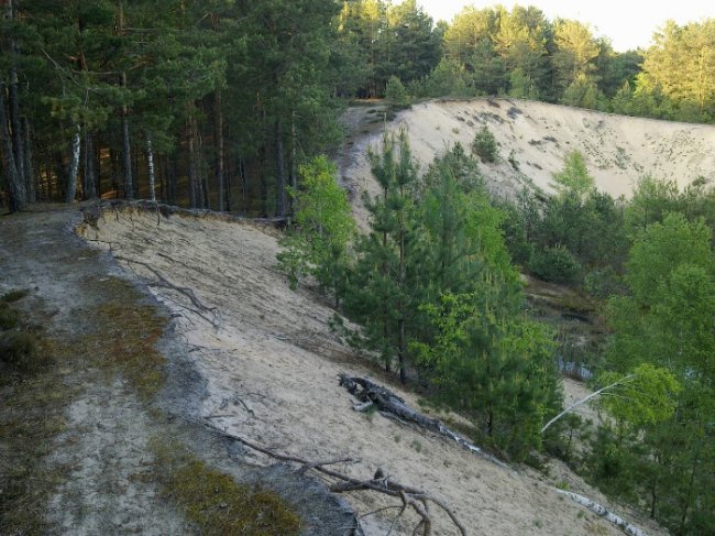 «Семенову гору не віддамо»: урочище на Волині, туристичний магніт краю, продали на аукціоні