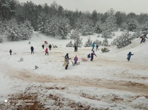 «Семенову гору не віддамо»: урочище на Волині, туристичний магніт краю, продали на аукціоні