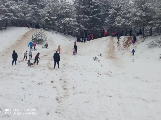 «Семенову гору не віддамо»: урочище на Волині, туристичний магніт краю, продали на аукціоні