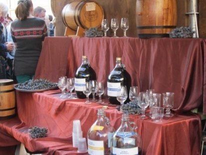 На фестивалі у Львові виноград давили ногами. ФОТО