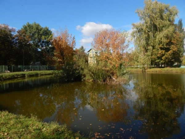 Осінь у Луцькому зоопарку. ФОТО