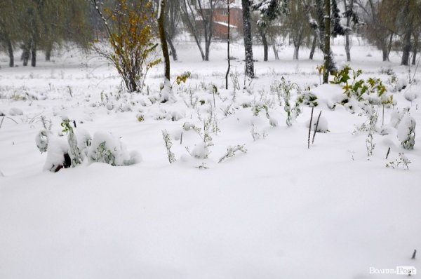 Фото снігу в Луцьку