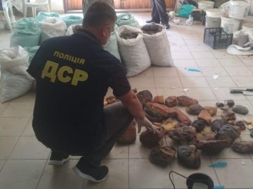 На Рівненщині  вилучили бурштину на понад 30 мільйонів гривень. ФОТО