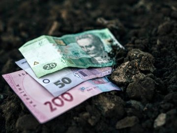 Скільки на Волині коштує земля