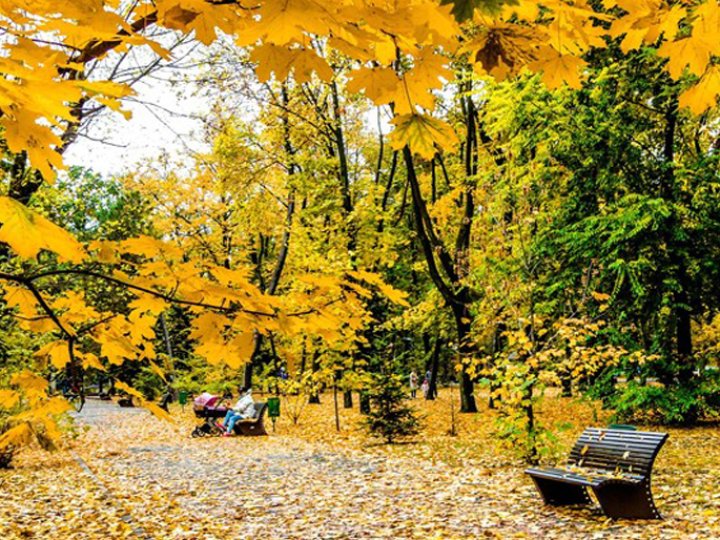 Бабине літо, перші заморозки: метеорологиня розповіла якою буде осінь в Україні