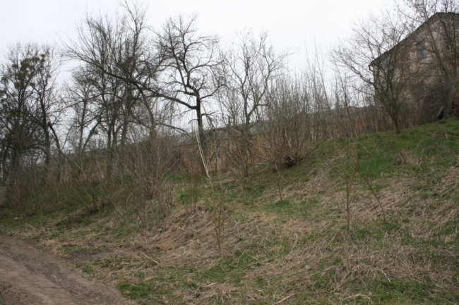 В Олиці відбулася толока навколо маєтку Радзивіллів. ФОТО